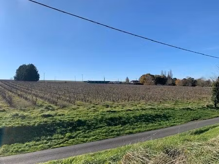 gensac  bâtiments agricoles et vignes  env 13 7 hectares