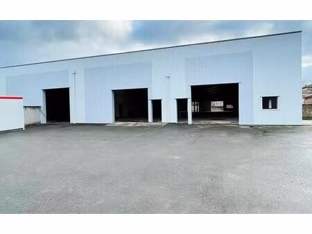 vente/location local d'activités belleville 1 587 m²