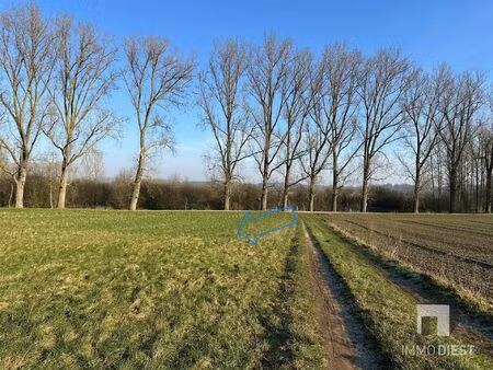 grond te koop in diest
