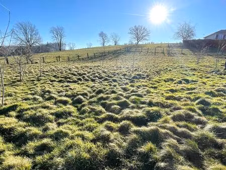 vente terrain 1278 m² xertigny (88220)