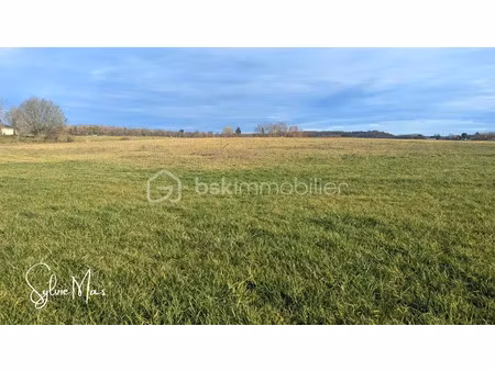 vente terrain 1038 m² à saint-georges (47370)  24 000 €