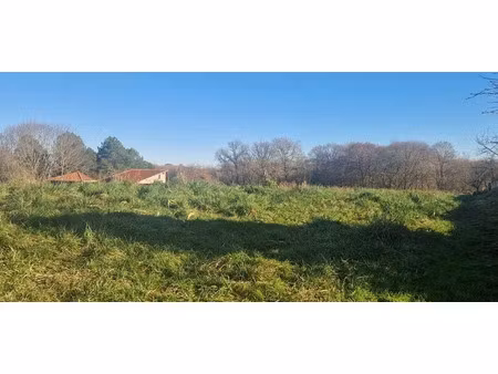 vente terrain 7522 m² à larée (32150)  26 000 €