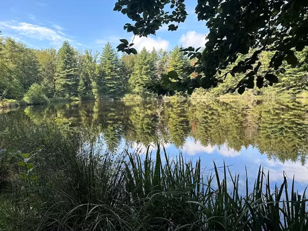 vente terrain 18160 m² à luxeuil-les-bains (70300)  50 000 €