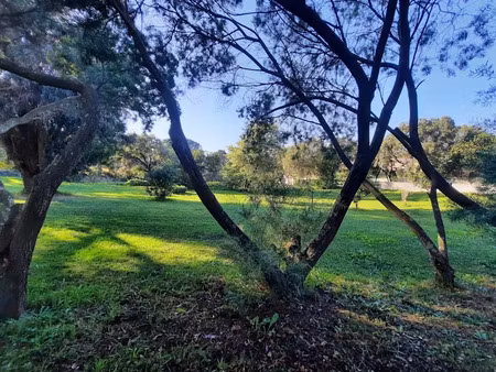 vente terrain 1890 m² à cuttoli-corticchiato (20167)  285 000 €