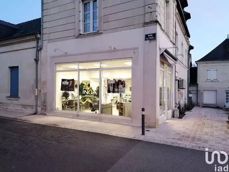 vente locaux professionnels 40 m² à chouzé-sur-loire (37140)  29 000 €