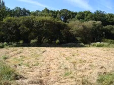 vente terrain à pontivy château gaillard (56300) : à vendre / pontivy château gaillard