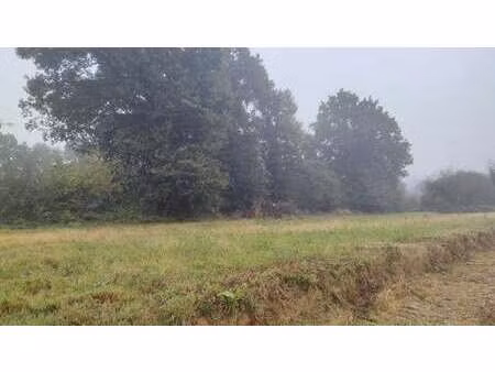 vente terrain à saint-domineuc (35190) : à vendre / 941m² saint-domineuc