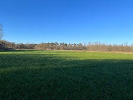 landbouwgrond te koop in geel