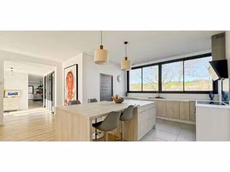 maison contemporaine avec jardin et terrasse gauré (31)