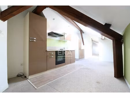 appartement t1bis - proche faculte albi