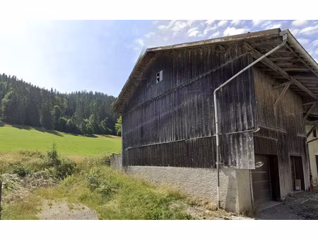 vente maison 2 pièces 156 m² bois-d’amont (39220)