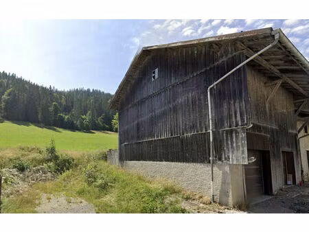 vente maison 2 pièces 156 m² bois-d'amont (39220)