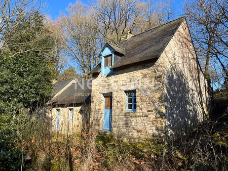 lizio campagne : ensemble de gîtes de 250 m² - environnement champêtre  gros potentiel