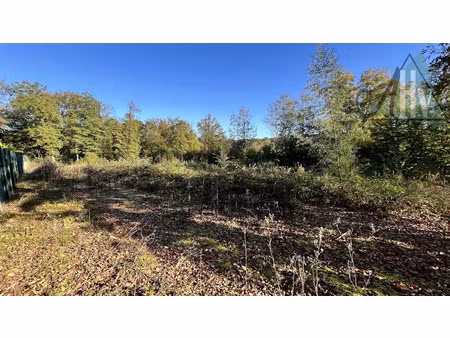 vente terrain 4417 m² à chéroy (89690)  100 000 €