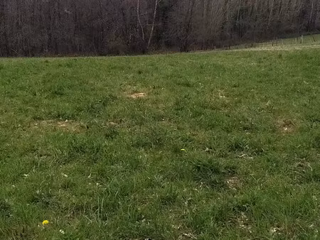 vente terrain 1918 m² marcillac-saint-quentin (24200)