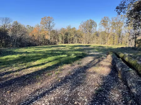 vente terrain 6492 m² domme (24250)