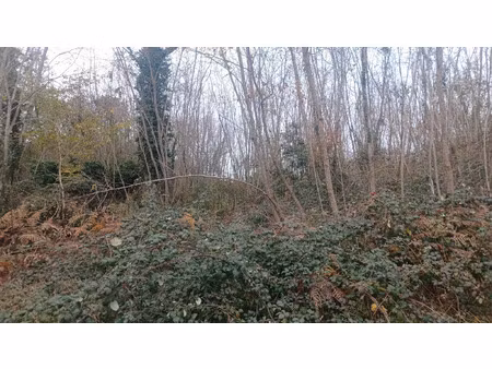 vente terrain 2444 m² meyrals (24220)