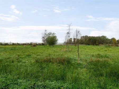 terrain à vendre à kontich € 129.000 (l2yu1) - heylen vastgoed - mortsel | zimmo