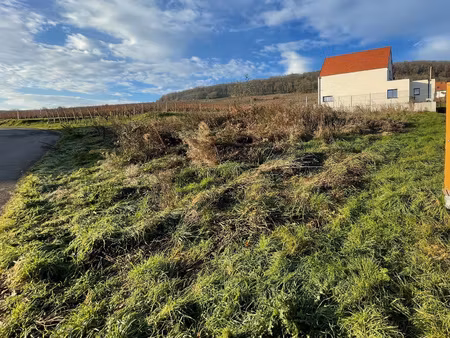 beau terrain de construction 643 m2