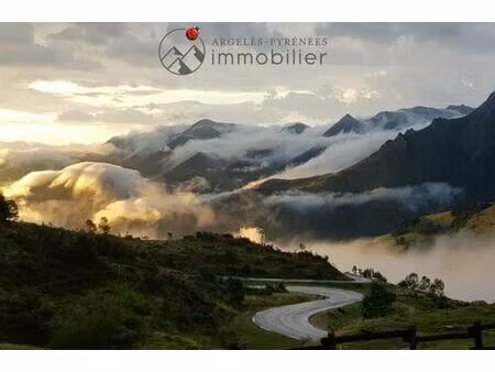 maison de 16 pièces de luxe en vente à arrens-marsous  occitanie