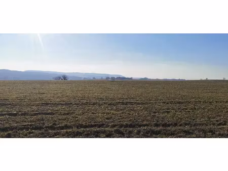 vente terrain 1231 m² à mons (63310)  30 775 €