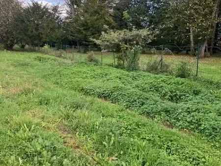 vente terrain 495 m² à vinay (38470)  89 000 €