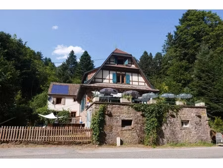 vente locaux professionnels 14 pièces 1155 m² à oberhaslach (67280)  549 875 €