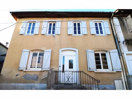 vente maison 7 pièces 165 m² à castelnau-magnoac (65230)  85 000 €