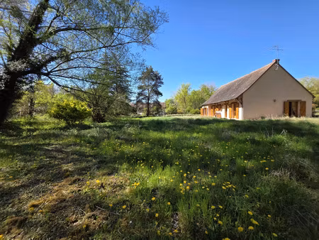 vente maison 5 pièces 176 m² chevillon-sur-huillard (45700)