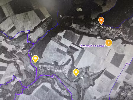 ensemble de parcelles de bois