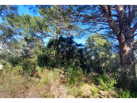 terrain à vendre 3948 m2 sur la route des plages
