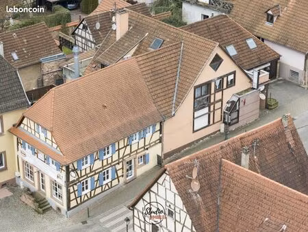 immeuble 780 m² lembach