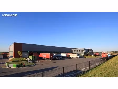 local logistique 5 636 m²