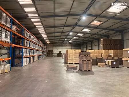 entrepôt 1210 m² sarreguemines