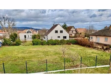 beau terrain plat 800m2 à 20mn de colmar