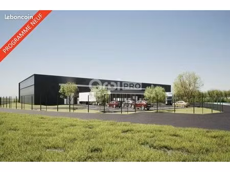 local d'activité 4 335 m²