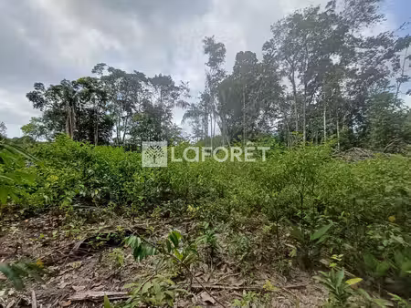 terrain non constructible roura (beauséjour) 25 000 m²