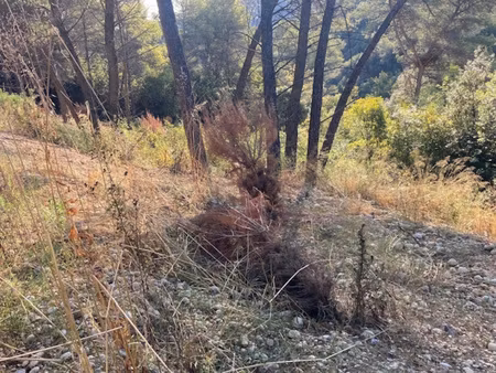 saint paul de vence  grand terrain viabilisé en pleine nature et calme absolu