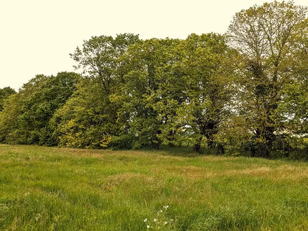 terrain à lotir. proximité futuroscope 5 762 m²