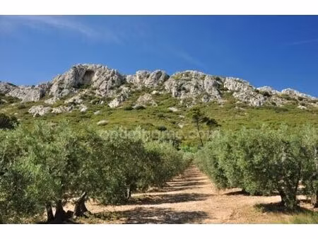 location commerce 88 m² à saint-rémy-de-provence (13210)