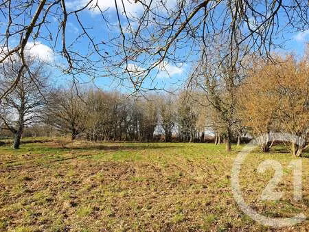 vente terrain à plouisy (22200) : à vendre / 1084m² plouisy