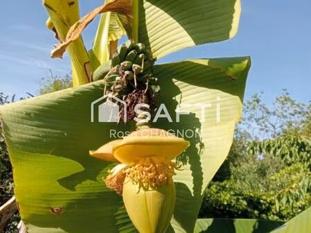 beaucoup de potentiel