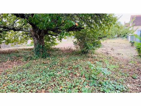 terrain constructible 500 m2 chatellerault centre