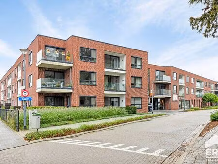 appartement à vendre à meeuwen € 236.800 (l35zx) - era impact (bree) | zimmo