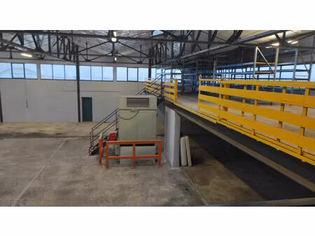 local d activité - 1017m²