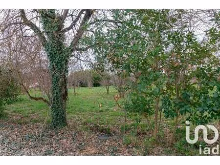 vente terrain à montauban (82000) : à vendre / 1285m² montauban