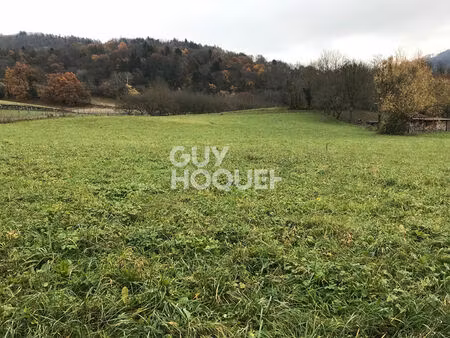 terrain 1029 m² la chapelle blanche