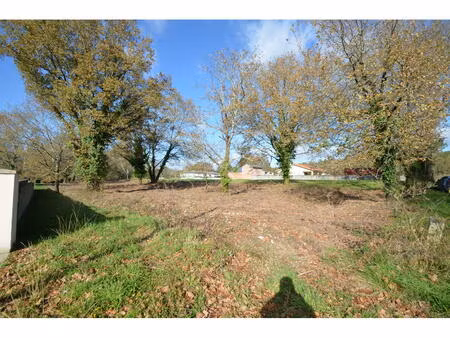 vente terrain 3362 m² porchères (33660)