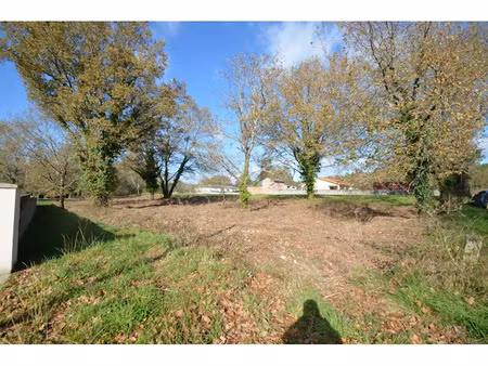 vente terrain 3362 m² à porchères (33660)  76 000 €