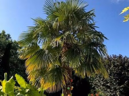 axe direct 30 km de paris  rer d à 10 km  village avec toutes commodités  collège lycée et